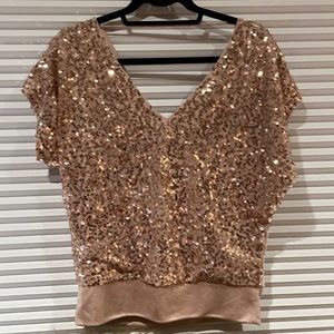 Beautiful Rose Gold Sequin Top